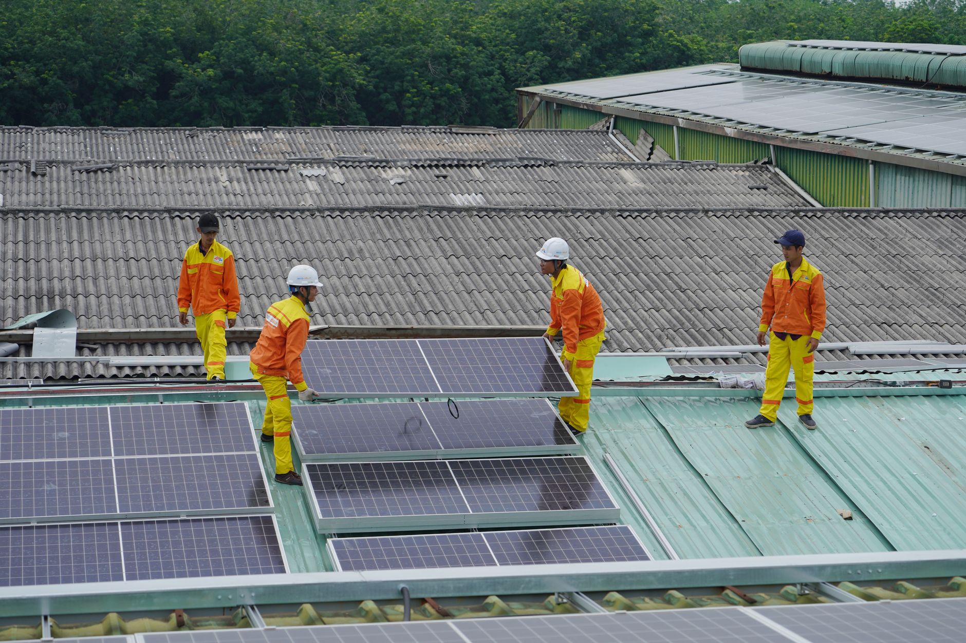Solar Services